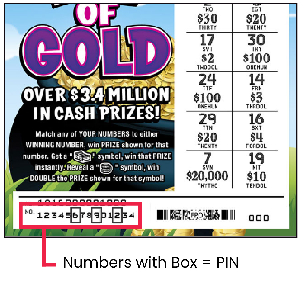 Manual Entry PIN 1000x1000