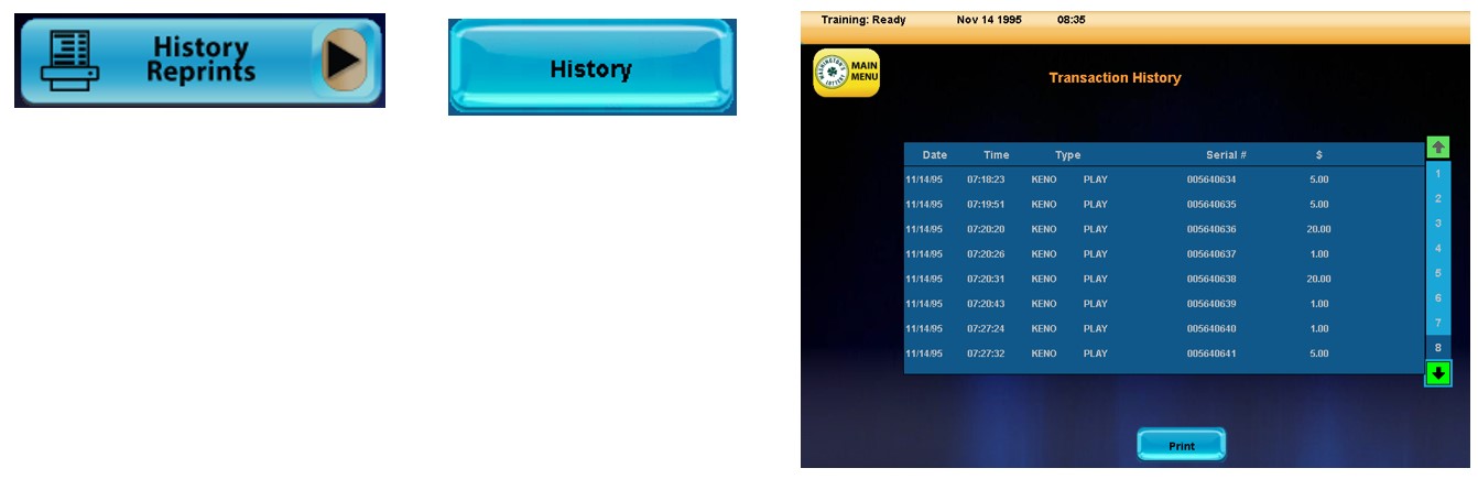 accessing history reports