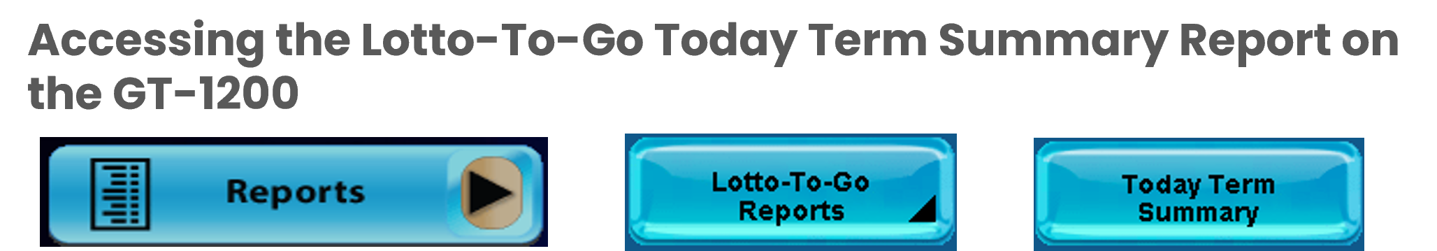 accessing lotto to go today summary
