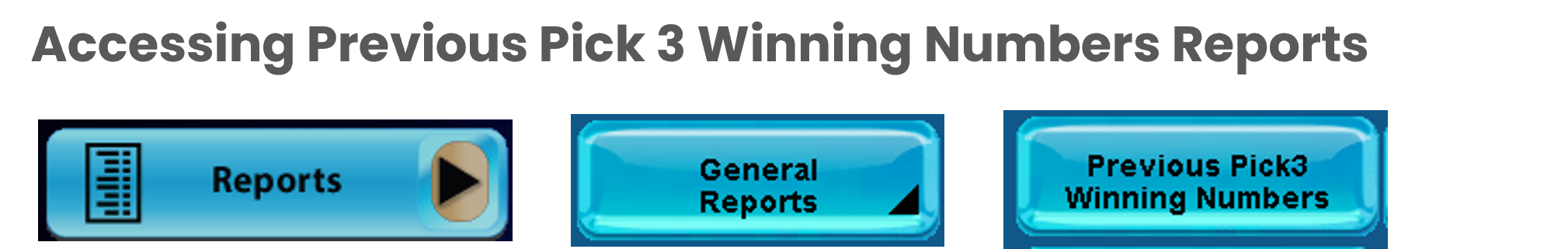 accessing previous p3 winning num report