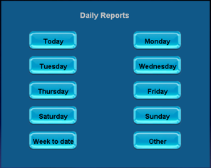 daily report options