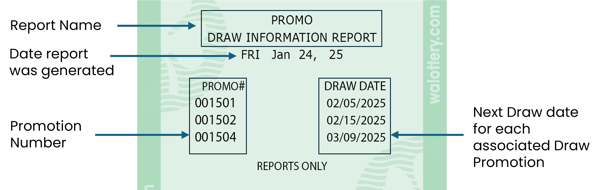 promo draw information report overview