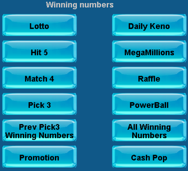 winning number report options